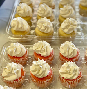 July 4th Cupcake Special (Pickup Only)